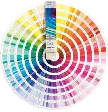 Pulverizador de plástico Botella de pulverización de niebla PET con impresión a color personalizada y capacidad de 100 ml